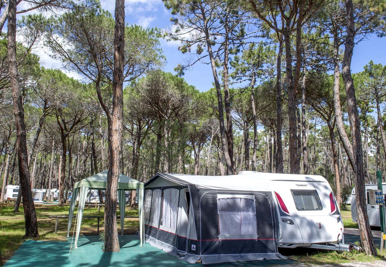 Campeggio Baia Verde Castiglione della Pescaia Eksteriør billede