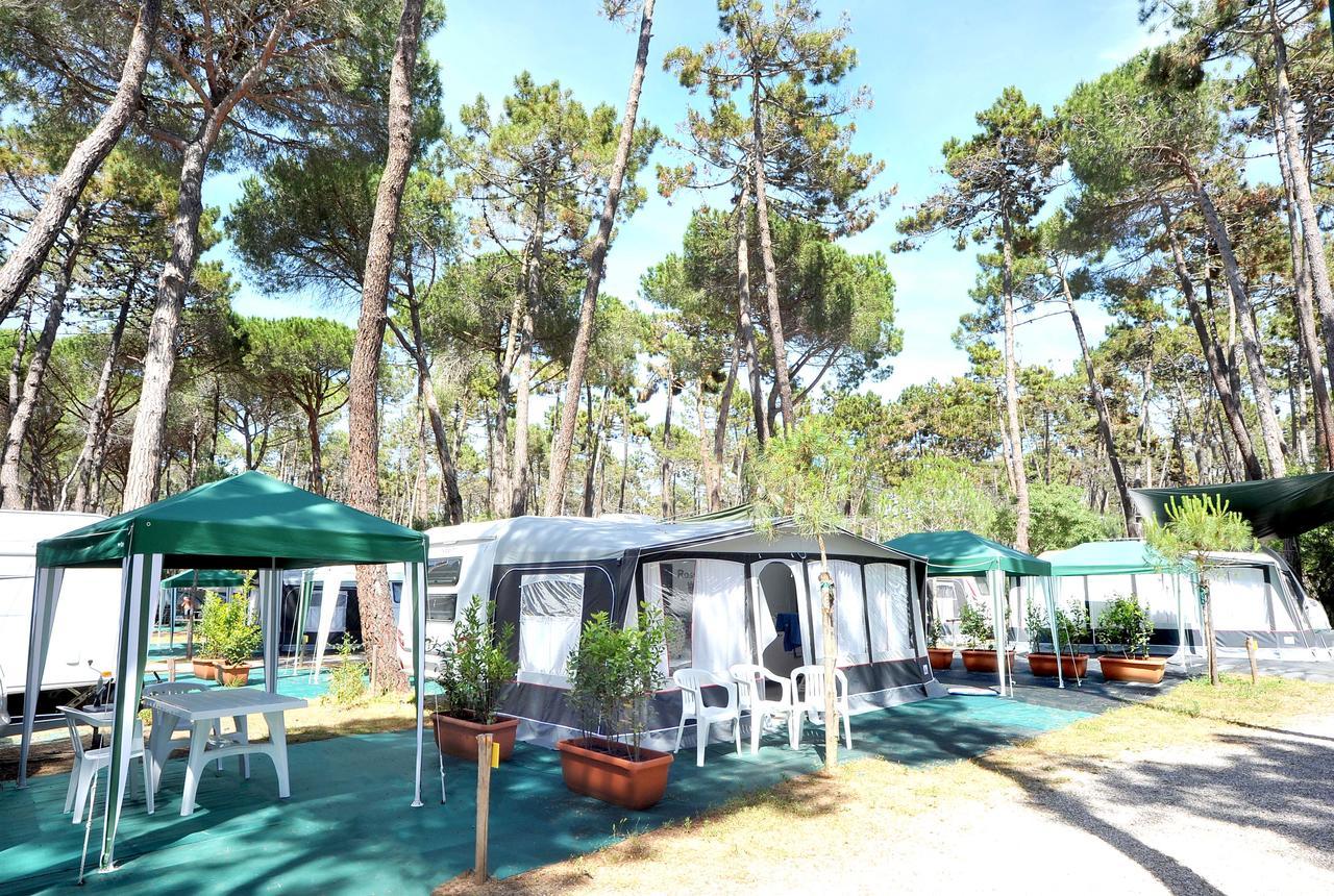 Campeggio Baia Verde Castiglione della Pescaia Eksteriør billede